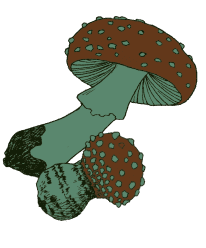 Mushrooms